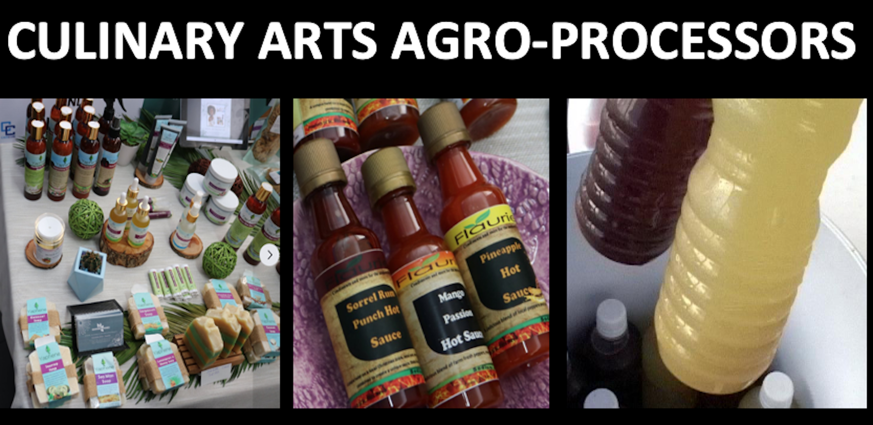 AGRO-PROCESSORS